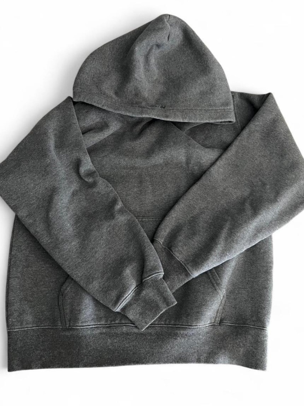 Aritzia Sweatshirt